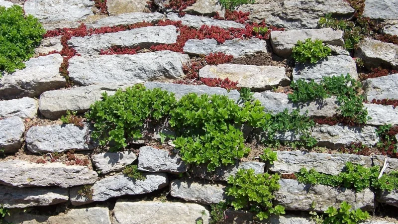 Nowoczesne palisady i murki oporowe – estetyka i funkcjonalność w jednym