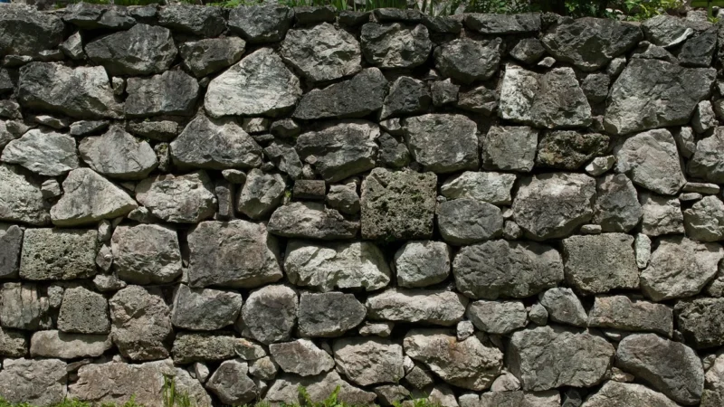 Słupki, murki, palisady – jak wybrać najlepsze rozwiązanie do ogrodu